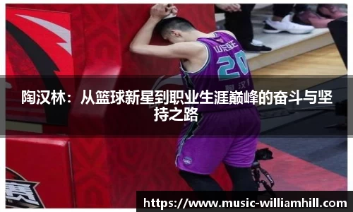 陶汉林：从篮球新星到职业生涯巅峰的奋斗与坚持之路